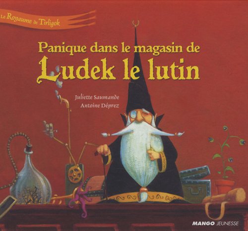 Panique dans le magasin de Ludek le lutin 9782740424667