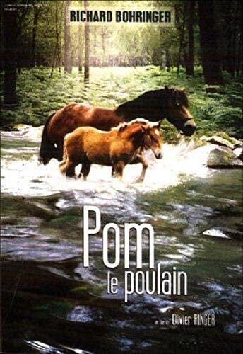 Pom, Le Poulain 3333297291453