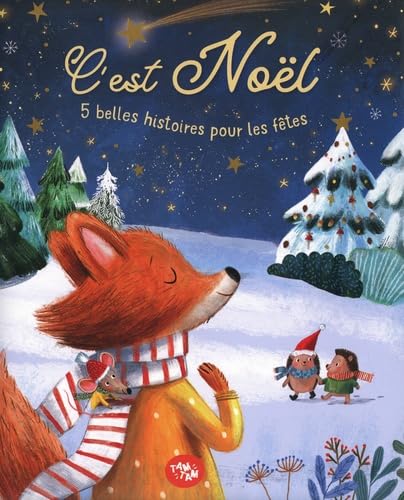 C'est Noël - 5 belles histoires pour les fêtes 9789465059693