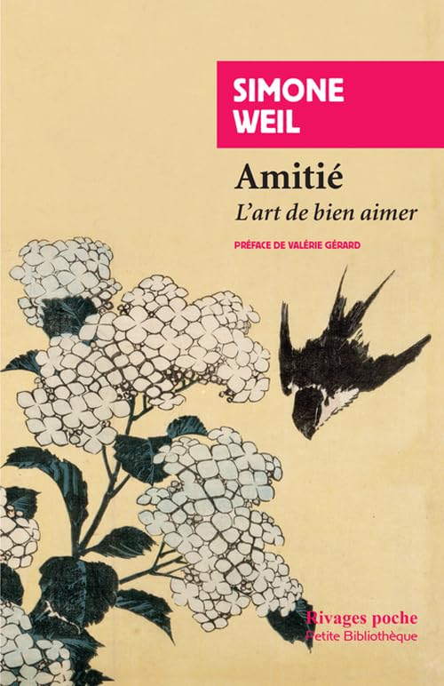Amitié: L'art de bien aimer 9782743635961