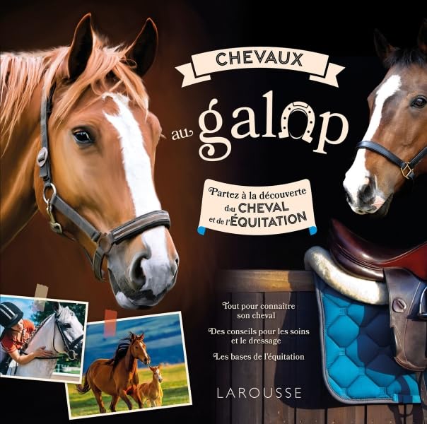 Chevaux au galop 9782036005136