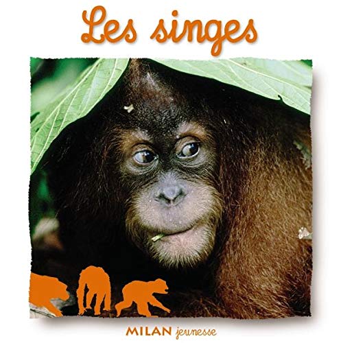 Les singes 9782745919151