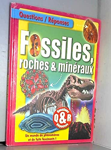 Questions/Réponses: Fossiles, roches et minéraux 9782754203661