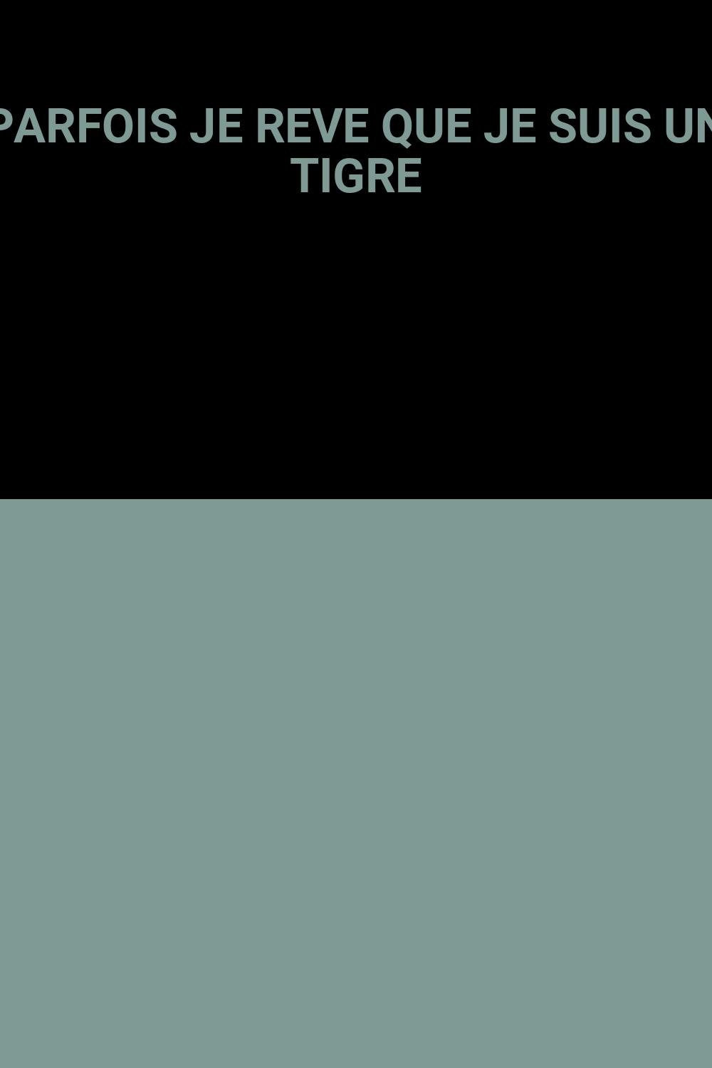 Parfois je rêve que je suis un tigre 9782010141928