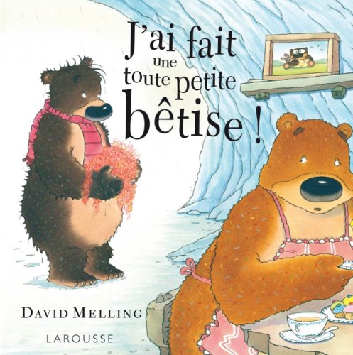 J'ai fait une toute petite bêtise ! 9782035862013
