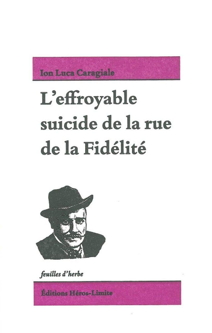 L'effroyable suicide de la rue de la Fidélité 9782940358854