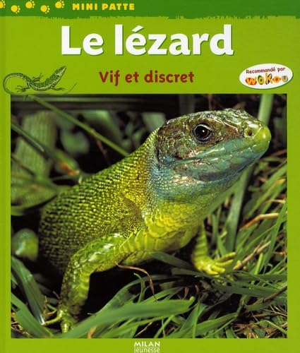Le lézard: Vif et discret 9782745934918