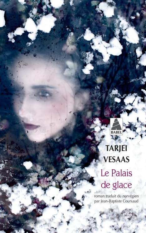 Le Palais de glace 9782330058784