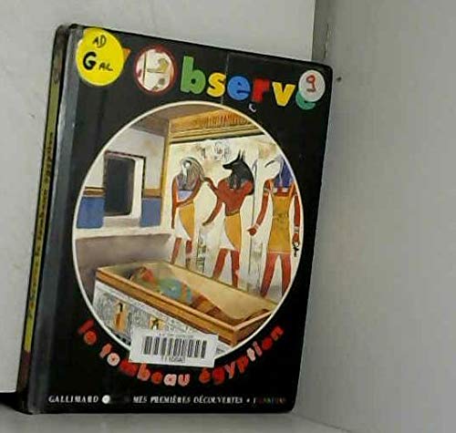 J'observe le tombeau égyptien 9782070518906