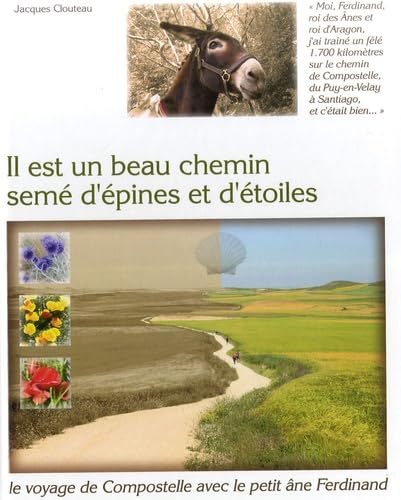 Il est un beau chemin semé d'épines et d'étoiles 9782916446189