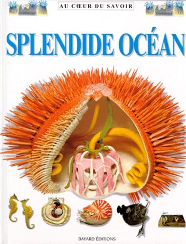 Splendide océan 9782227736078