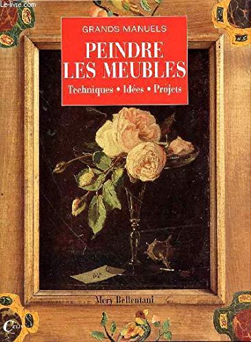 Peindre Les Meubles 9782865353453