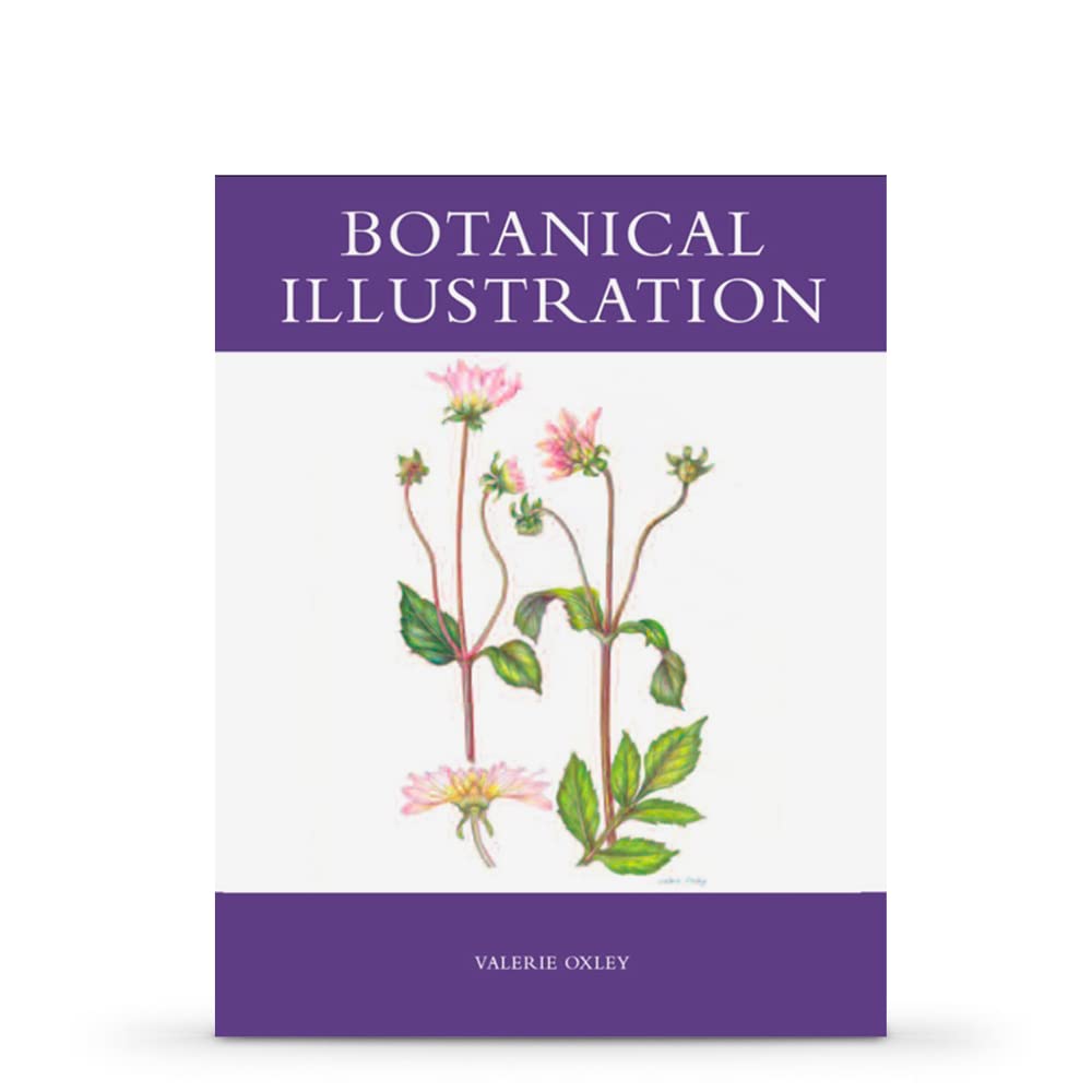 Botanical Illustration 9781847970510