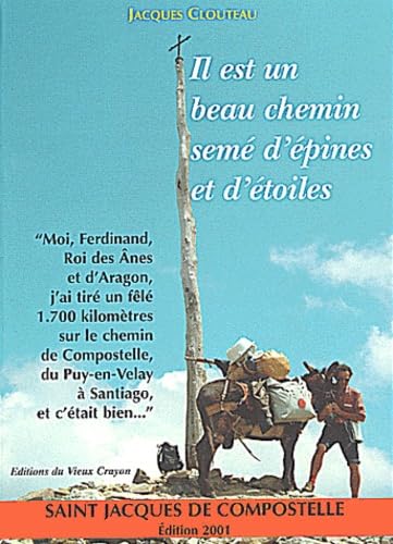 Il est un beau chemin semé d'épines et d'étoiles 9782950848604