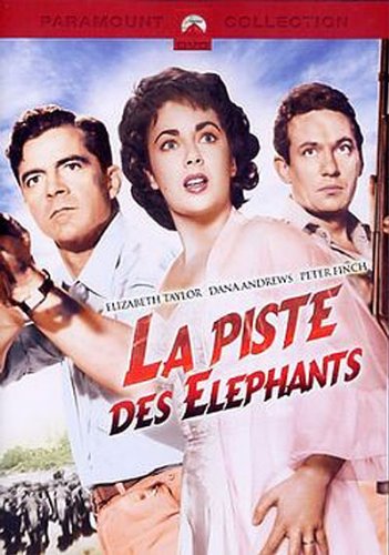 La piste des éléphants 3333973138478