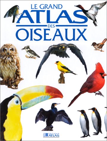 Le grand atlas des oiseaux 9782731217926