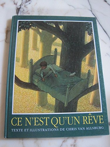 ce n est qu un reve 9782211010764