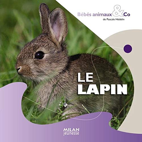 Le lapin 9782745941510