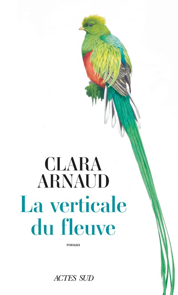 La Verticale du fleuve 9782330149093