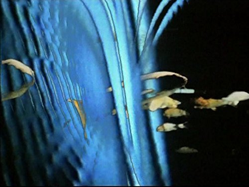 Lolita Nie en Bloc 0042286182322