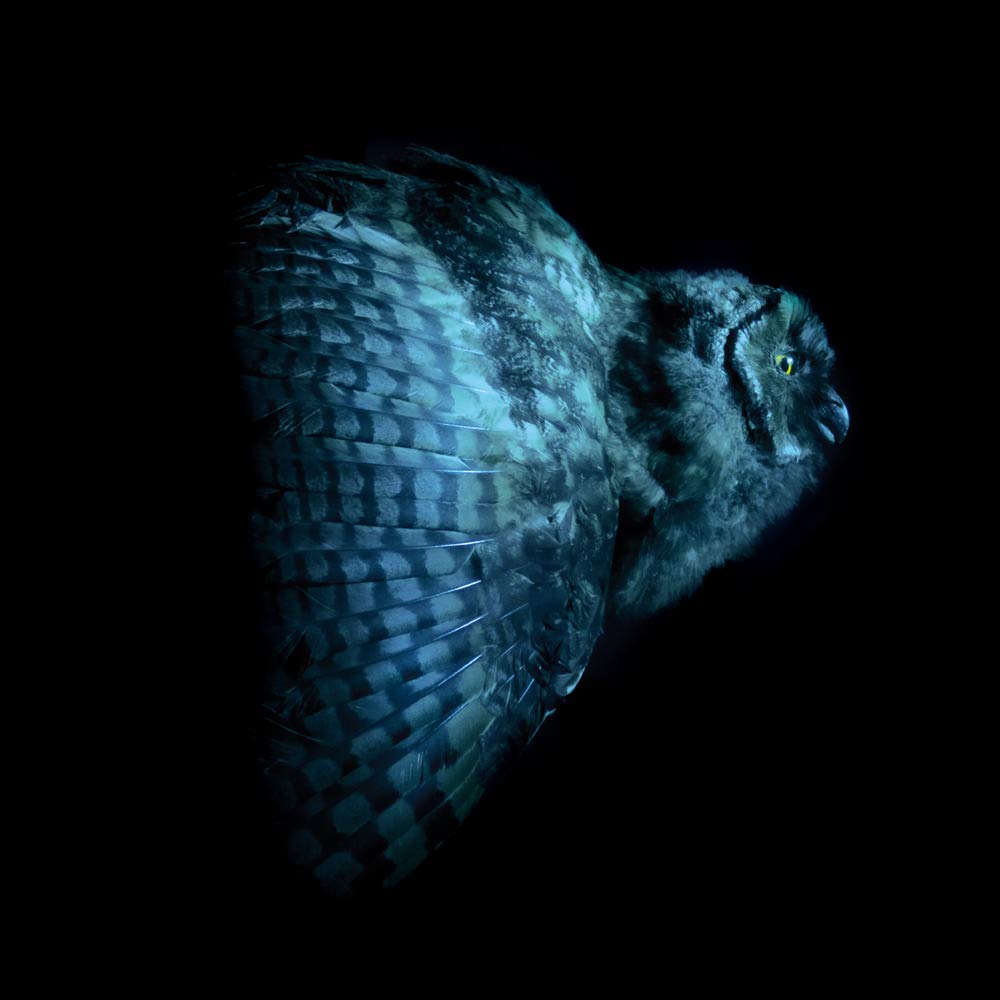 Rising Doom 3516628203022