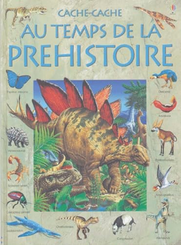 Au temps de la préhistoire 9780746061671