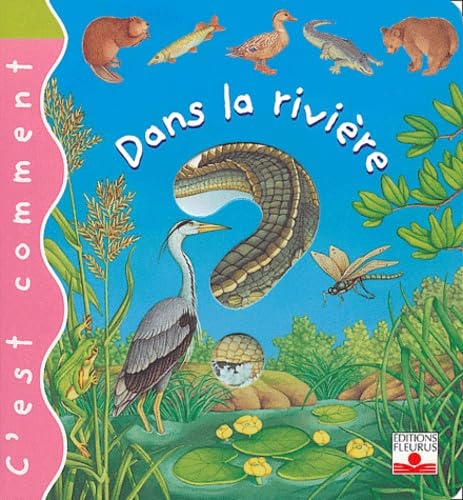 Dans la rivière : C'est comment 9782215081937