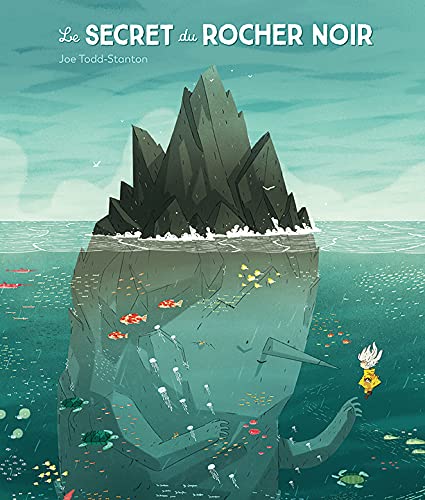 Le secret du rocher noir 9782211302760