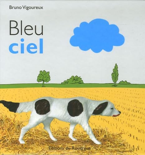 Bleu Ciel 9782841567577