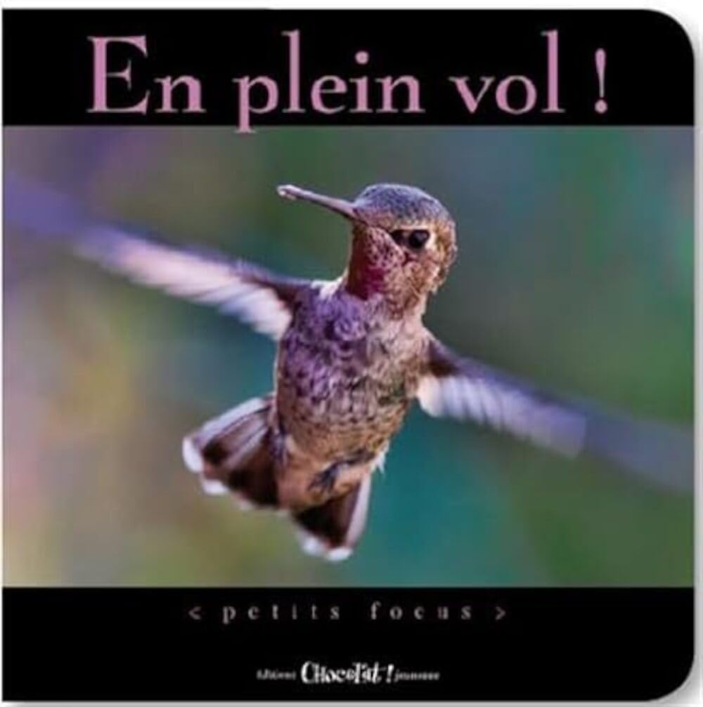 En plein vol ! 9782917516553