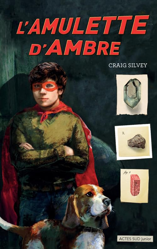 L'amulette d'ambre 9782330081911