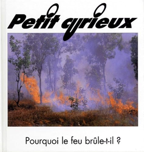 Pourquoi le feu brûle-t-il ? 9782713015793