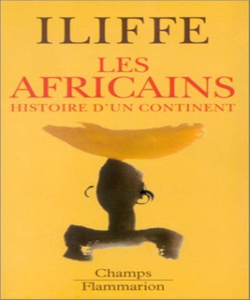 Les Africains : Histoire d'un continent 9782080800336