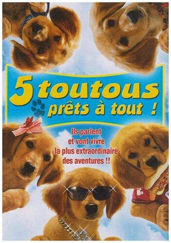 5 toutous prêts à tout ! 3333297169905