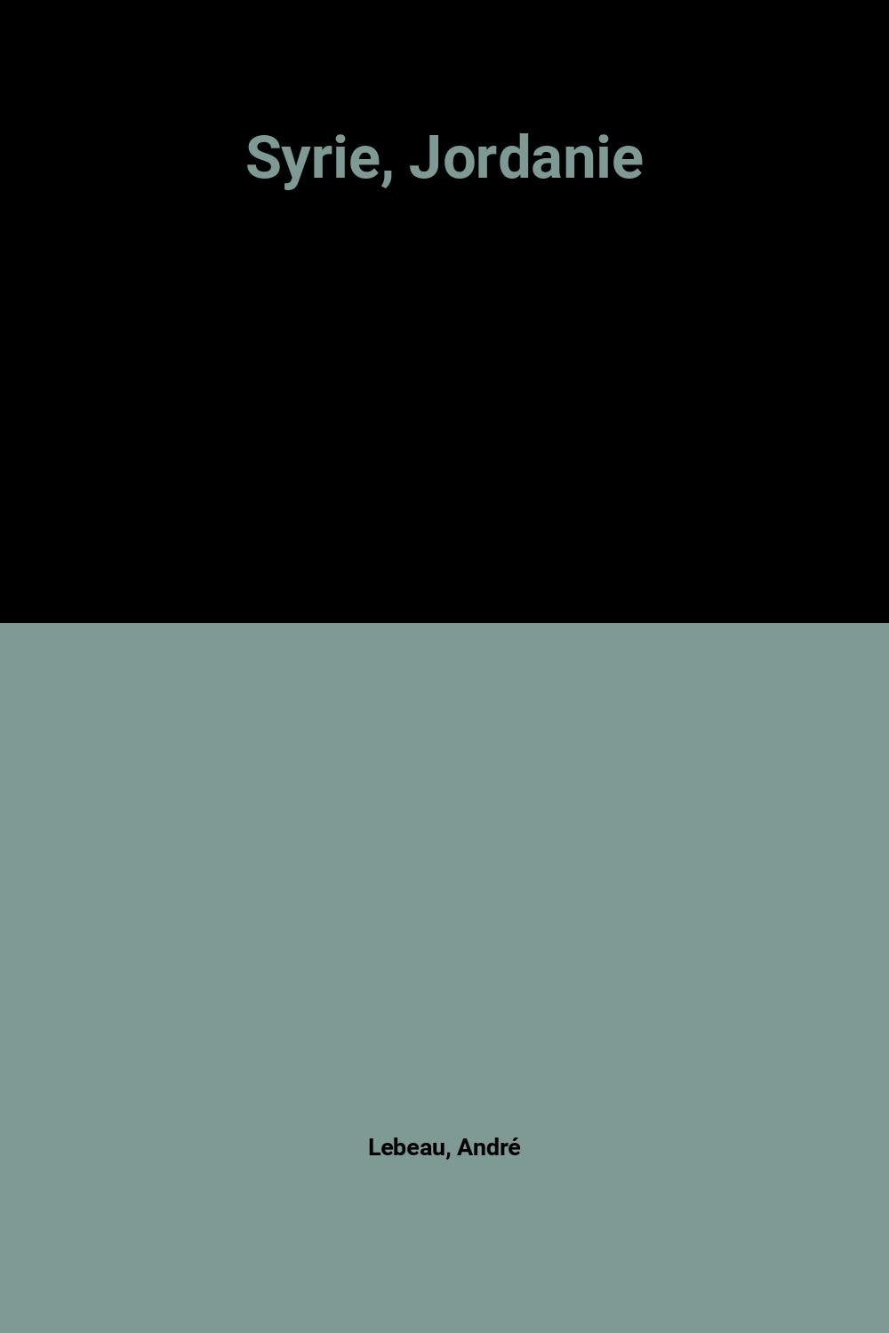 Syrie - jordanie 1996-1997: GRANDS VOYAGES, 18 CARTES ET PLANS 9782700310610