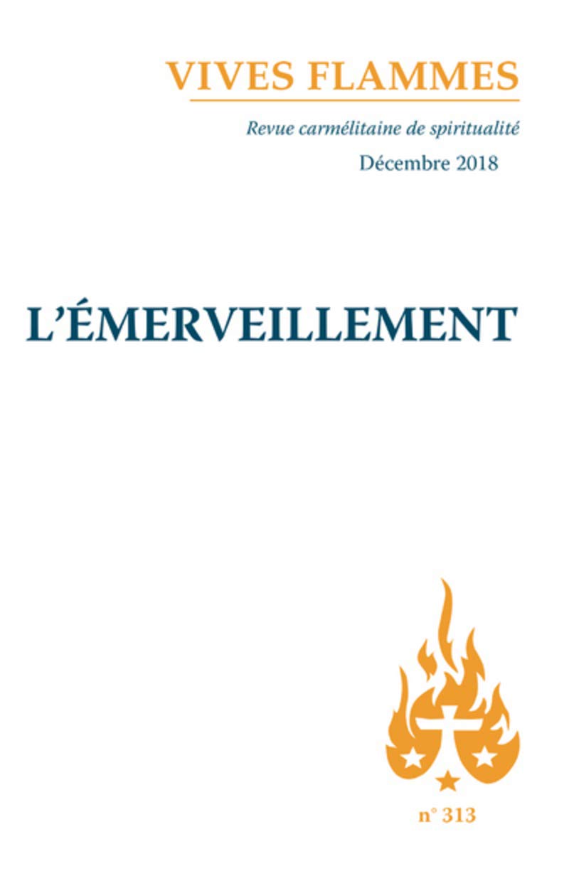 L'émerveillement 9782847135947