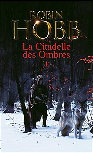 L'apprenti assassin 9782298092271