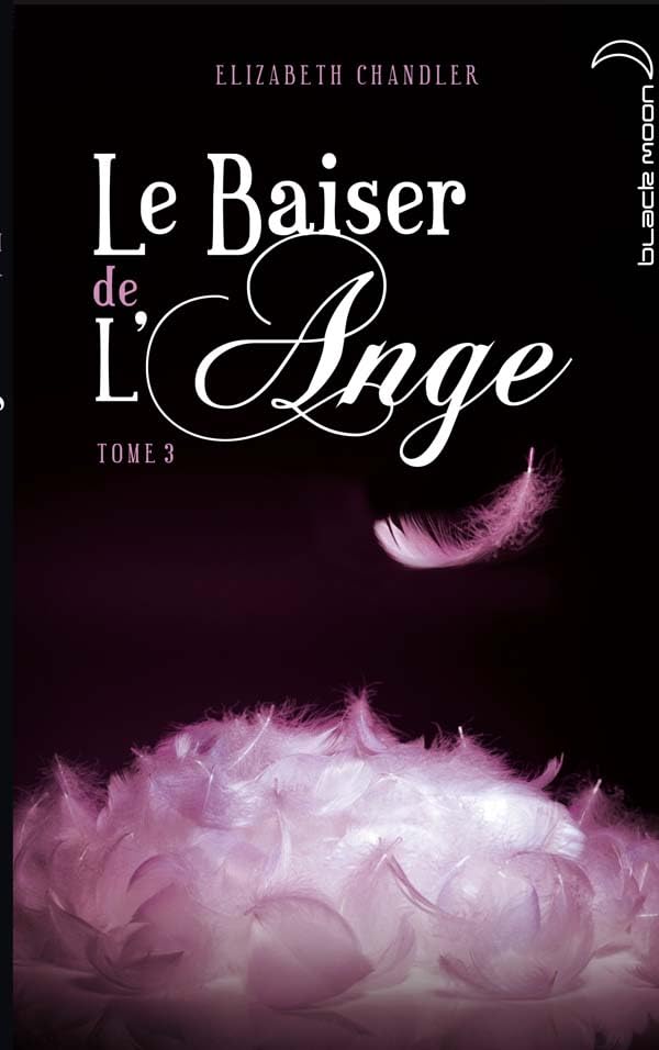 Le baiser de l'ange - Tome 3 - Ames Soeurs 9782012019157
