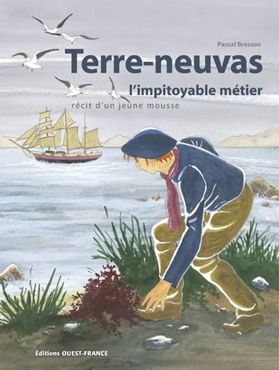 Terre-neuvas l'impitoyable métier 9782737335075