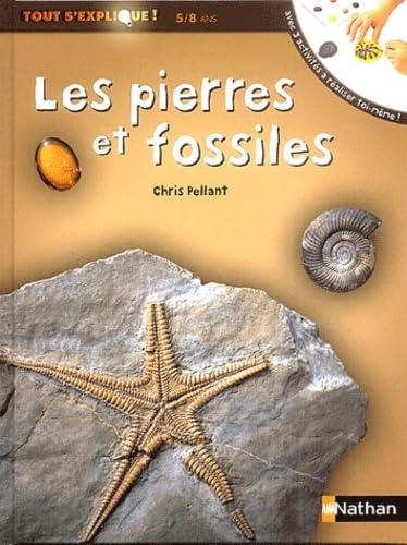Pierres et fossiles 9782092113462