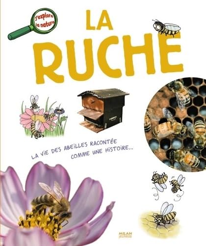 La ruche 9782745924292