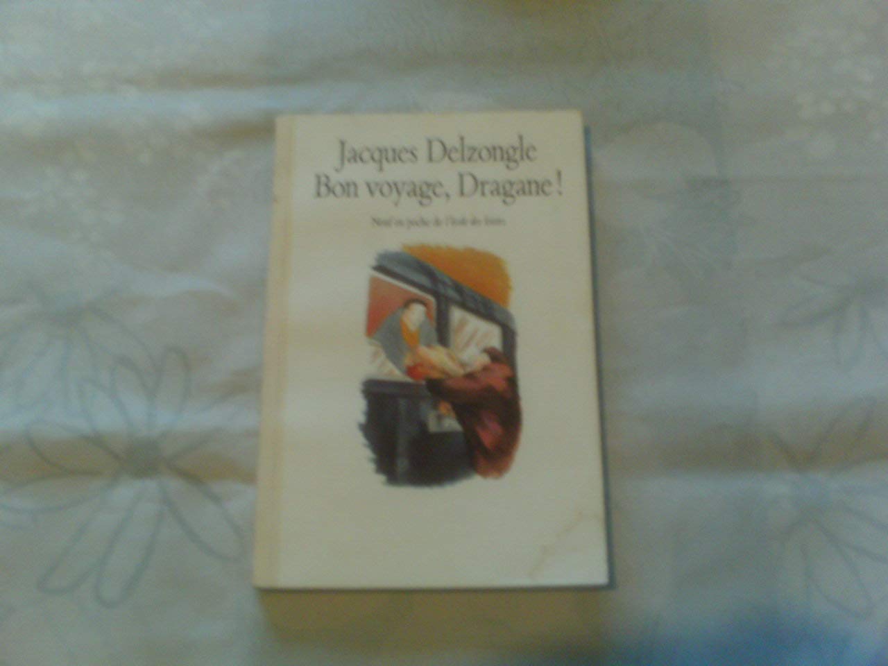 bon voyage dragane 9782211019248