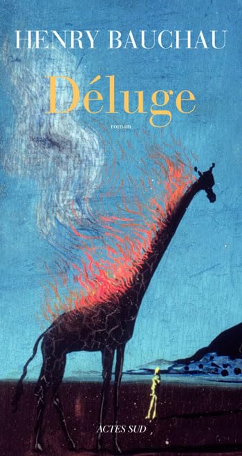 Déluge 9782742789894