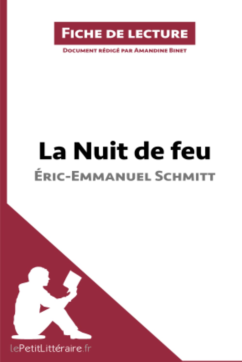 La Nuit de feu d'Éric-Emmanuel Schmitt (Fiche de lecture): Analyse complète et résumé détaillé de l'oeuvre 9782806271556