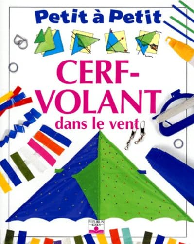 Cerf-volant dans le vent 9782215019879