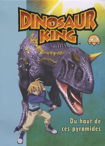 Du haut de ces pyramides 9782351006214