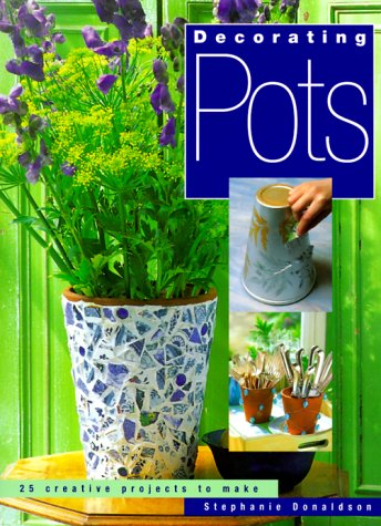 Decorating Pots: 25 Creative Projects to Make 9781855856639