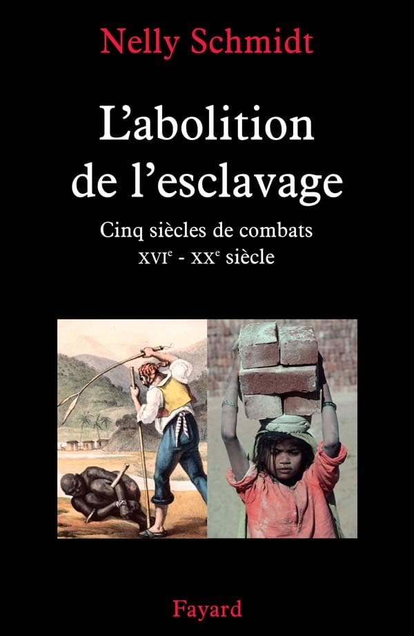 L'abolition de l'esclavage: Cinq siècles de combats (XVIe-XXe siècle) 9782286009953