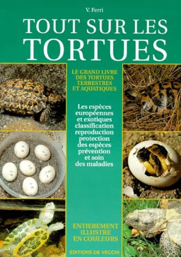Tout Sur Les Tortues 9782732823164