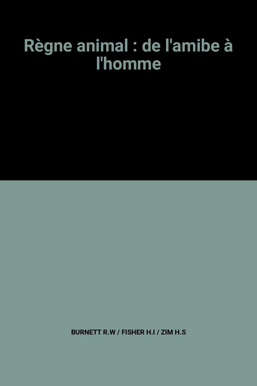 La correspondance 9782501002974